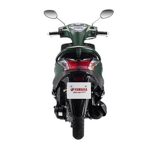Scooter à gaz 125cc moto, scooter électrique, qualité supérieure, brun/brillant vert, livraison gratuite - Product Image 3