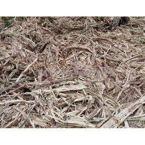 BRICQUETAS DE BAGAS DE CAÑA DE AZÚCAR/ CAÑA DE AZÚCAR/ RESIDUOS AGRÍCOLAS - Product Image 1