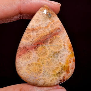 Fait à la main lisse naturel corail fossile Cabochon pierres précieuses en vrac toutes tailles guérison Tumbleds forme mixte beauté organique - Product Image 4