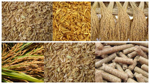 ใหม่ Tech Fresh Harvest ชีวมวลการใช้ข้าว Hust เม็ด Briquette เวียดนามผู้ผลิต - Product Image 3