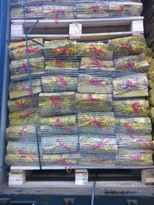 Hornbeam Firewood con 10-15% de contenido de humedad Producto relacionado con la energía - Product Image 5