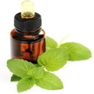 น้ำมันหอมระเหยโรสแมรี่มิ้นท์ Miele ดูแลเส้นผมสำหรับผู้หญิงผิวดำให้ความแข็งแรงกับเปปเปอร์มินท์ - Product Image 5