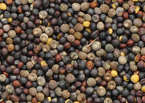 Caja de Vitaminas para Pollos de Primera Calidad - Product Image 5