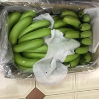Precios de bananas en Ecuador/Venta de bananas verdes frescas/