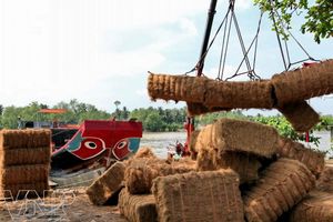 Fibre de noix de coco crue/fibre de coco de noix de coco/fibre de coco de fibre de coco fabriquée au Vietnam avec la qualité et le prix le moins cher - Product Image 5