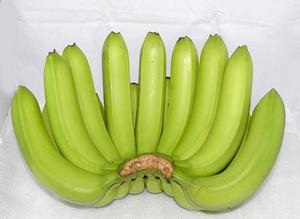 Cavenlavavajillas-fruta fresca, plátano de Vietnam, precio competitivo con la mejor calidad para el comprador - Product Image 2