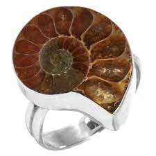 แหวนแอมโมไนต์925หินอัญมณีเงินสเตอร์ลิง - Product Image 6