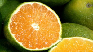 Grand fournisseur de fruits-Orange au Vietnam - Product Image 3