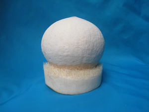 Sweet <b>Fresh</b> <b>Coconut</b> Diamond Shape Vietnam/ Natural <b>Fresh</b> <b>Coconut</b> Vietnam in 2024 - Product Image 3
