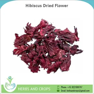 Hibiscus Rosa Sinensis kurutulmuş çiçek