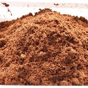 Bloque de Fibra de Coco para Horticultura, 5 kg, de Vietnam - Product Image 6