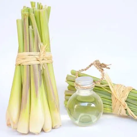 Lemongrass /LEMONGRASS ESSENTIAL OIL & POWDER