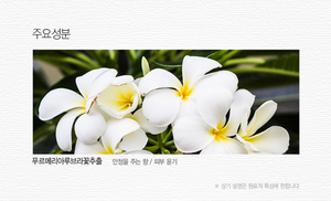 La crème cosmétique hydratante pour les mains SAEM Corée au parfum de frangipanier Produit de beauté parfumé - Product Image 3