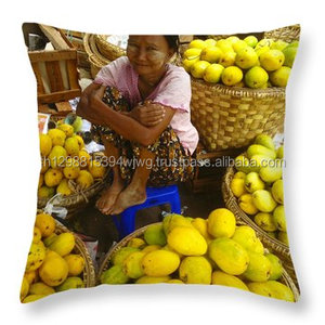 Mango corto de alta calidad, nuevo, 1 - Product Image 1