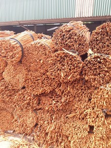 Canela de Vietnam de Alta Calidad, Palitos de Canela Secos y Limpios para Exportación, Venta al por Mayor y Procesamiento de Alimentos - Product Image 3