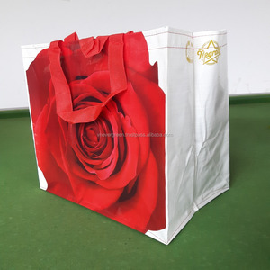 Sac de beauté en PP tissé, sacs de shopping personnalisés en couleur avec poignées en sangle PP, 37 cm x 33 cm x 23 cm - Product Image 1