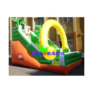 Tiger Infla table Water Slide 6x4x6m-Aufblasbare Indoor Slide-Outdoor-Spielplatz-Türkei Aufblasbarer Spielplatz Herstellung
