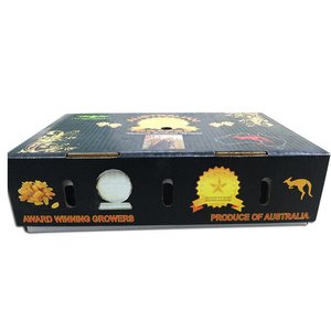 Cajas de Embalaje de Cartón Corrugado Impresas para Fruta de la Pasión - Product Image 1