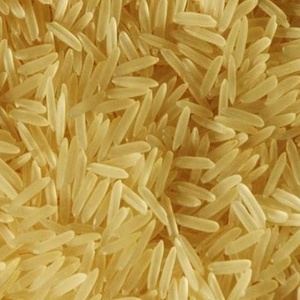 Riz Basmati doré grain extra long 1121 Inde 8-3mm Longueur de grain 12% Humidité 2% Couleur jaune cassé pour Biryani Direct - Product Image 2