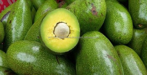 อะโวคาโดสดคุณภาพสูงจากเวียดนาม/ในปี2021 - Product Image 6