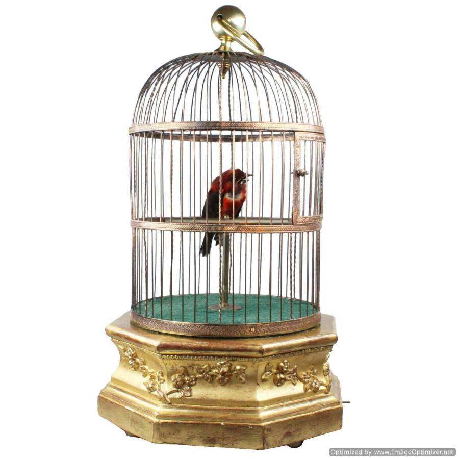 Brass Antique Bird Cage New Design Decoration Fancy Best Quality Luxury Wholesale Decorating Gold Color Birds Cage