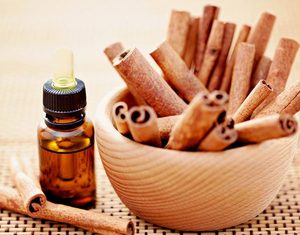 ผลิตภัณฑ์ของเวียดนาม: Cassia (อบเชย) ที่มีราคามากที่สุดและมีคุณภาพสูง - Product Image 1