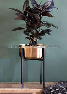 Macetas y macetas galvanizadas con soporte negro Elegantemente diseñadas para uso en interiores y exteriores - Product Image 3