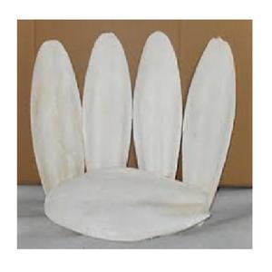 Os de seiche géant au Vietnam Whatsapp ANGLE - Product Image 1