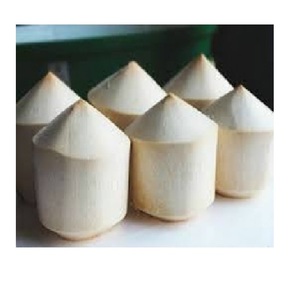 FOURNISSEUR FRAIS DIAMANT FORME DE NOIX DE COCO AVEC BONNE QUALITÉ ET PRIX CONCURRENTIEL - Product Image 4