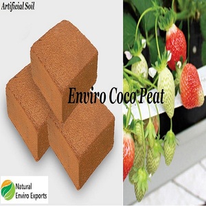 Quantité en vrac de fibre de Coco et de fibre de Coco de la marque écologique - Product Image 2
