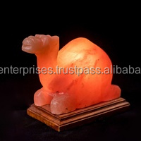 Sian Enterprises Feng Shui Carved Camel Shaped Himalayan Salt <b>Lamp</b> Square <b>Wooden</b> <b>Base</b> Eco-friendly Business Gift Approved Power - Product Image 3