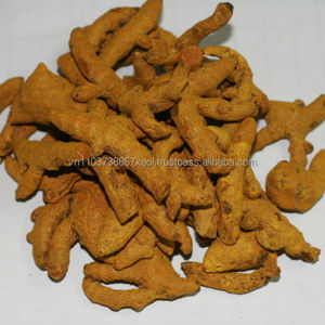 POUDRE DE RACINE DE CURCUMA DU VIETNAM CURCUMINE 5% min meilleure qualité - Product Image 2