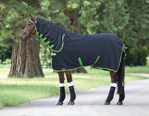 Couverture d'hiver pour cheval 1200D imperméable avec col, rembourrage 300gsm, couverture d'extérieur isolante très résistante - Product Image 4