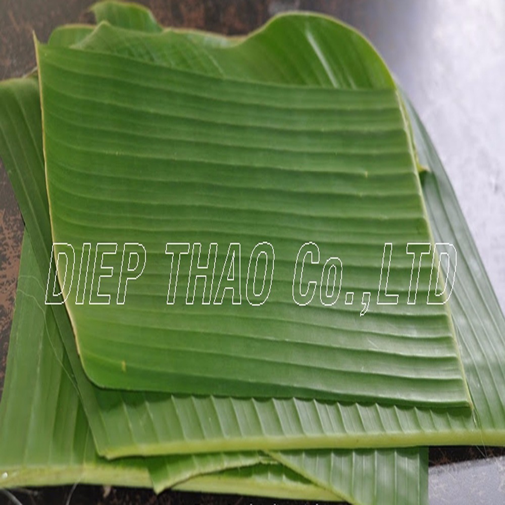 Cari Terbaik jual daun pisang Produsen dan jual daun pisang untuk 