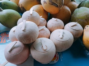 Coco joven fresco de Vietnam al mejor precio y calidad con alto contenido de pulpa - Product Image 6