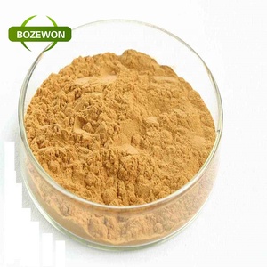 Extrato de Ginseng Americano, Pó de Raiz de Ginseng Vermelho Coreano, Extrato Herbal 100% Natural, Grau A, Extração por Solvente em Embalagem de Tambor - Product Image 2