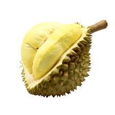 Dés de durian / Durian entier surgelé / Durian surgelé sans pépins SOPHIE - Product Image 5