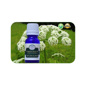 Huile essentielle de racine d'angélique pure de haute qualité OEM fournie avec un parfum doux - Product Image 4