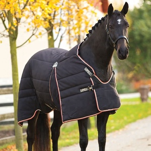 Mantas de Invierno para Caballos, 300 GSM, Aislamiento de Poliuretano, Impermeables, de Lujo, con Cuello Integrado y Solapa Grande para la Cola, para una Cobertura Total - Product Image 5