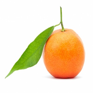 Les fournisseurs offrent l'huile essentielle pure d'arbre à thé biologique et de mandarine pour la fabrication de bougies et de mélanges - Product Image 3