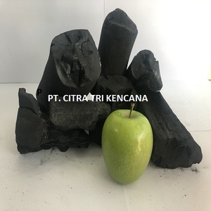 WE CONCERN ABOUT ENVIRONMENTALLY, 2019 CHOOSE ONLY NATURAL FRUIT CHARCOAL, FOR WINTER BBQ TIME IN MOSCOW RUSSIA - Product Image 3