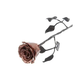 Smeedijzeren Rose Met Bladeren