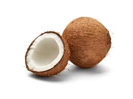 Fournisseur de noix de coco décortiquées noix de coco séchée meilleur prix haute qualité HOLIDAY - Product Image 5