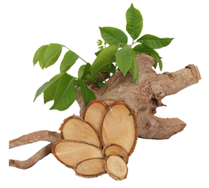 TONGKAT ALI SLICE / RAW TONGKAT ALI de alta calidad - Product Image 1