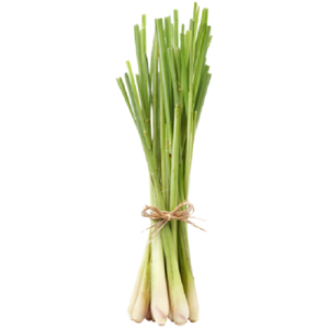Fabricants et exportateurs en gros d'huiles essentielles de qualité cosmétique pure (Citronnelle, Tea Tree) - Distillées à la vapeur, certifiées GMP, pour les soins capillaires - Product Image 4