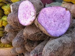 Patate douce violette de haute qualité et moins cher - Product Image 3