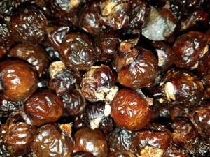 High Quality Natural Soap <b>Nuts</b> for Laundry - Product Image 3