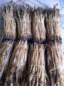Producto de Agricultura de alimentos marinos Sipunculus Nudus seco 2024 - Product Image 2