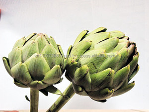 อาร์ติโช้คสดจากเวียดนาม/คุณภาพสูง/ - Product Image 6