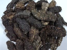ลูกยอ/ตัดผลไม้ NONI แห้ง - Product Image 2